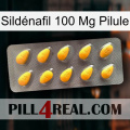 Sildénafil 100 Mg Pilule cialis1